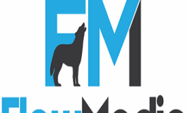 Maximizing Digital Growth with Flow Media: The Leading Google Ads Agency in Auckland