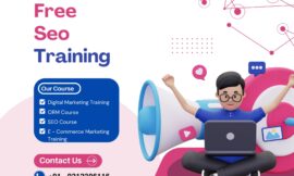 SEO Training Delhi NCR with Free Certificate