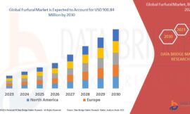 Furfural Market: Size, Share, and Growth Forecast By 2031