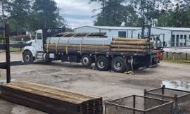 Building the Perfect Fence for Your Horse: A Guide to Durable, Natural Materials