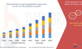 Hydrogen Energy Storage Market Revenue Analysis: Growth, Share, Value, Size, and Insights