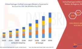 Hydrogen Sulfide Scavengers Market Graph: Growth, Share, Value, Size, and Insights