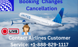 Your Link to Turkish Airlines: 15 Contact Methods That Actually Work