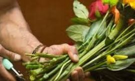 Flowers Delivery Beirut