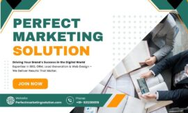 How Perfect Marketing Solution’s AI SEO Services Drove