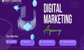 Entrepreneurs: Optimize Your Website with Perfect Marketing Solutions