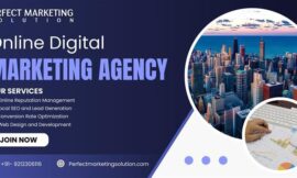 Learn Why Top Brands Choose Perfect Marketing Solutions for Success