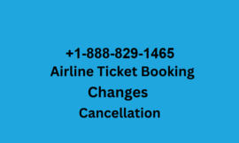 Top 6 Ways to Get in Touch with American Airlines Support (Phone, Chat & Email)