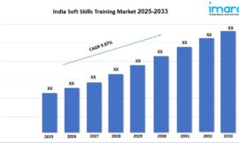 India Soft Skills Training Market Size, Share, Industry Trends and Report 2025-2033