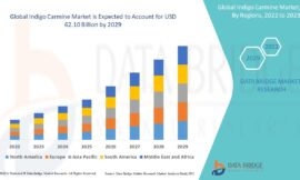 Dye and Diagnostic Demand Drive Growth in Global Indigo Carmine Market