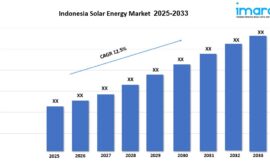 Indonesia Solar Energy Market Growth, Trends and Forecast 2025-2033