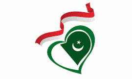 Indonesia Work Visa For Pakistanis: Everything You Need To Know