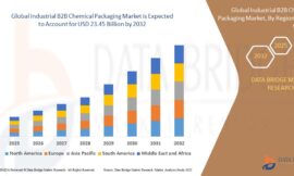 Industrial B2B Chemical Packaging Market Demand: Growth, Share, Value, Size, and Insights