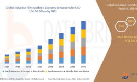 Industrial Film Market Companies: Growth, Share, Value, Size, and Insights