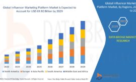 Influencer Market Industry Statistics: Growth, Share, Value, and Trends