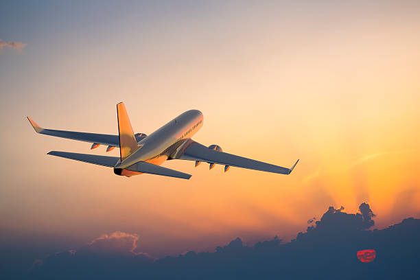 Read more about the article Steps to Reach Emirates Airlines Customer Service
