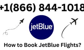 14 Ways to Reach JetBlue Customer Service by Phone, Chat, and Email: A Full Explained Guide