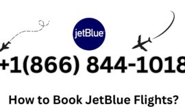 Ways to Call JETBLUE Customer Service via Phone, Email, or Chat Options: Guide Step by Step