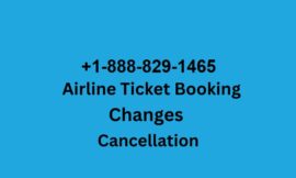 11 Ways to Connect American Airlines Customer Service By Phone Number, Chat, and Email Support Number: A Total Guide