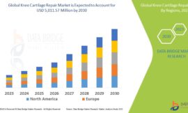 Asia-Pacific Knee Cartilage Repair Market Revenue Forecast: Growth, Share, Value, and Trends