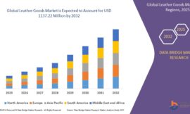 Leather Goods Market: Growth Opportunities and Forecast to 2032