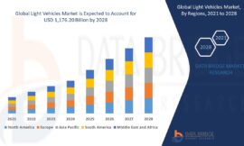 Light Vehicles Market Demand: Growth, Share, Value, Size, and Insights