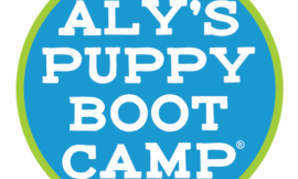 Trained Dogs for Sale: Your Future Well-Behaved Companion Is Just a Click Away