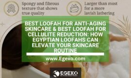 Unlock Glowing Skin: Benefits of Using Loofah Sponges for Skincare