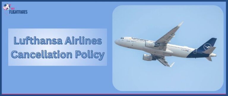Read more about the article https://forum.paradoxplaza.com/forum/threads/como-contactar-a-united-airlines-chile-por-telefono.1739719/