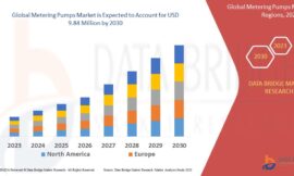 Metering Pumps Market Trends, Challenges, and Forecast by 2030