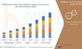 Middle East and Africa Kaolin Market Rises with Growth in Construction and Ceramics Sectors