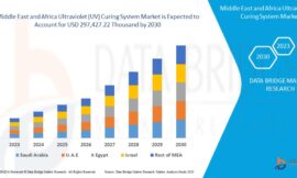 Middle East and Africa UV Curing System Market Grows on Back of Expanding Manufacturing and Healthcare Sectors