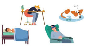 symptoms of narcolepsy cure with Waklert.