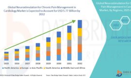 Neurostimulation for Chronic Pain Management in Cardiology Market Challenges: Growth, Share, Value, Size, and Scope
