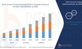 North America Torque Vectoring Market Size, Share, Trends, Growth Analysis, Development, Revenue, Future Growth and Forecast