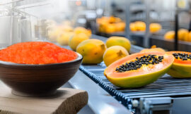 Role of Papaya Pulp in Modern Food Processing Industry