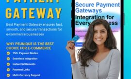 E-commerce Payment Gateway