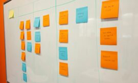 What Makes AIMS’ Online PhD in Project Management Stand Out from the Rest