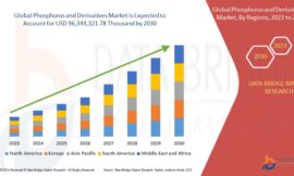 Phosphorus and Derivatives Market: Size, Share, and Future Growth