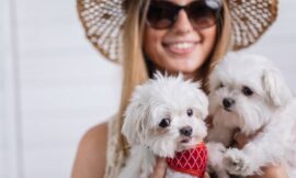 Pet Accessories and Clothes in Encino -Here’s Why You Need to Prioritize Comfort