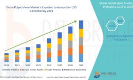 Polyethylene Market Trends, Insights and Future Outlook
