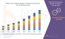 Demand for Efficient Cleaning Solutions Drives Global Pressure Washer Market Growth