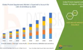 Protein Supplements Market Opportunities: Growth, Share, Value, Size, and Scope