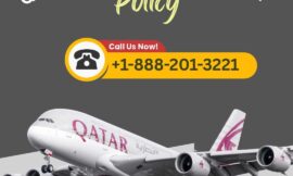Seven Ways To Talk To Someone At Frontier Airlines Via Phone, Email, Or Chat Options: A Step By Step Guide