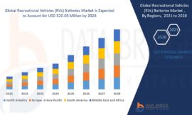 Recreational Vehicles (RVs) Batteries Market Insights and Growth Trends