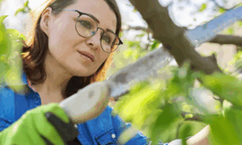 Efficient Wood Chipping: The Smart Way to Manage Tree Waste