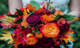 Seasonal Flowers You’ll Find at Your Local St Kilda Florist