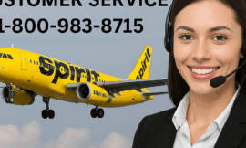12 Ways to Reach Spirit Airlines Customer Service by Phone, Chat, and Email: A Full Explained Guide