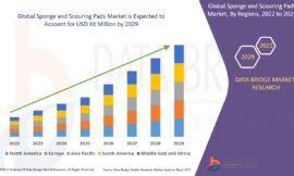 Sponge and Scouring Pads Market Demand: Growth, Share, Value, Size, and Insights
