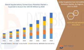 Supplementary Cementitious Materials Market Trends: Growth, Share, Value, Size, and Analysis